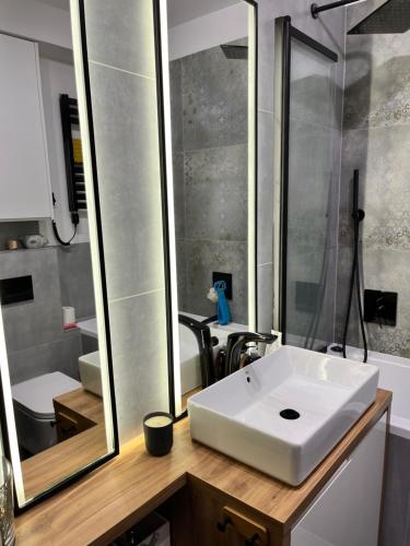 a bathroom with a white sink and a mirror at Apartament Zakoniczyn in Gdańsk