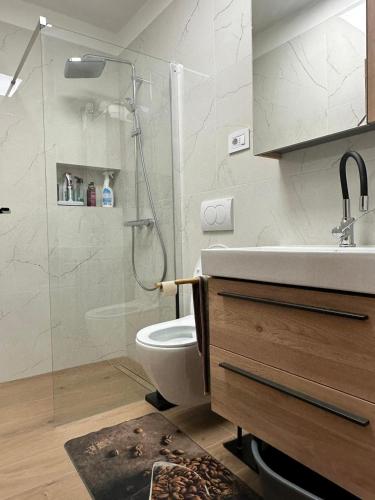 a bathroom with a shower and a toilet and a sink at Stone House Dioniz in Brnistrova