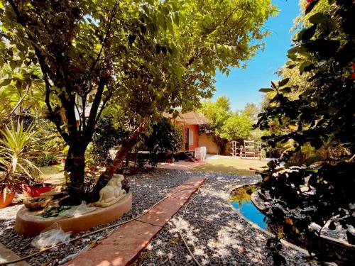 瓦拉納西的住宿－ITH Luxury Family Cottage – Hibiscus，一座花园,花园内种有树木,设有池塘