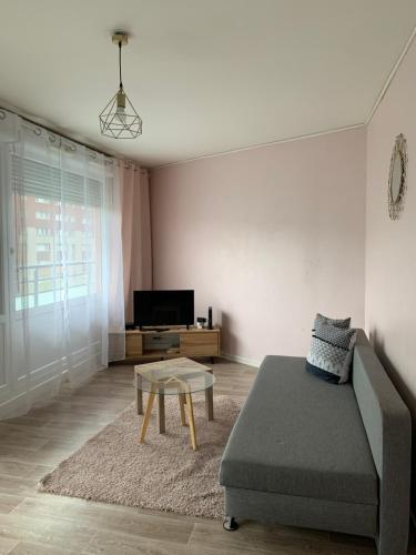a living room with a couch and a coffee table at Appartement spacieux et lumineux in Vandoeuvre-lès-Nancy