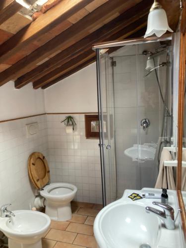 a bathroom with a toilet and a sink and a shower at Badia Antica in Lugnano