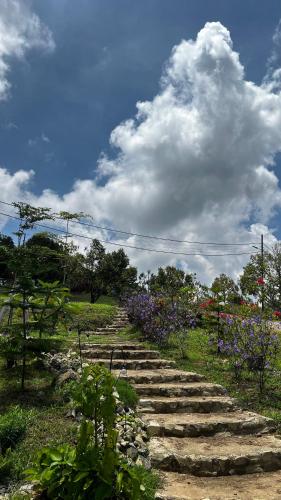 a set of stone stairs in a field with flowers at 4 Simple Minimalistic Rooms at Sunset Lodge - Eco Valley Retreat 豐之谷 in Balung