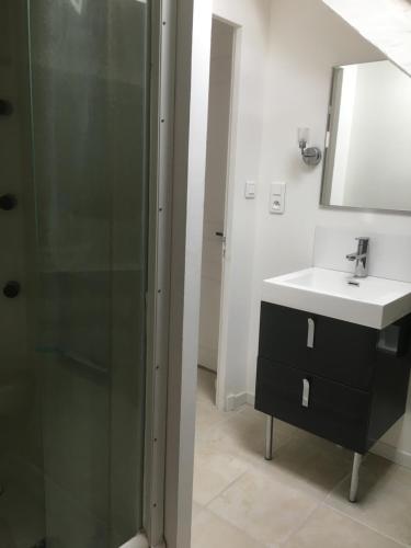 a bathroom with a glass shower and a sink at Chambres de la Choisille à Fondettes st Cyr Tours in Fondettes