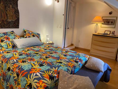 a bedroom with a large bed with a colorful blanket at Chambres de la Choisille à Fondettes st Cyr Tours in Fondettes