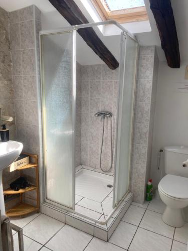 une cabine de douche dans une salle de bain avec toilettes dans l'établissement CHEZ SOPHIE -Chambres d’hôtes, Gîte et Gîte équestre, à Clermont-Dessous