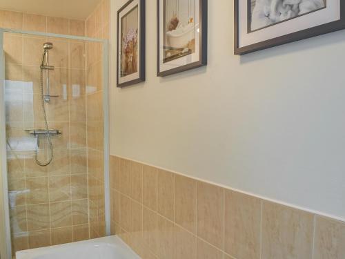 a bathroom with a shower and a toilet at Riverview in Bridge of Allan