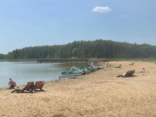 a group of people on a beach near the water at Apartamenty Zamość Sienkiewicza in Zamość