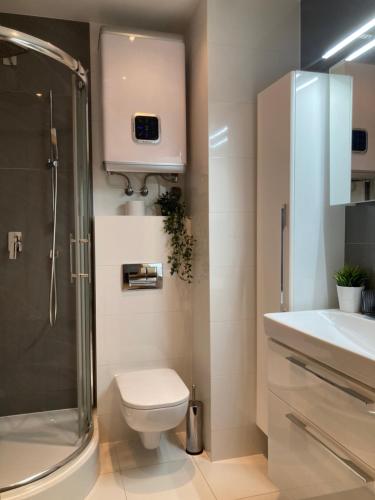 a bathroom with a toilet and a shower and a sink at Blue Mare BB in Łukęcin