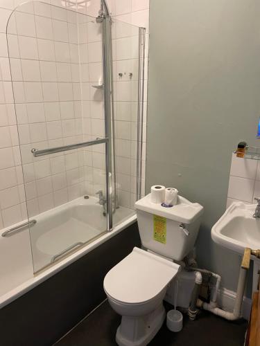 a bathroom with a toilet and a shower and a sink at The Olde Swan Hotel in Chertsey