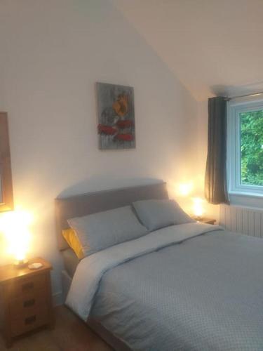 a bedroom with a bed with two lights on at Lanarth Chalet in Hayle Cornwall in Hayle