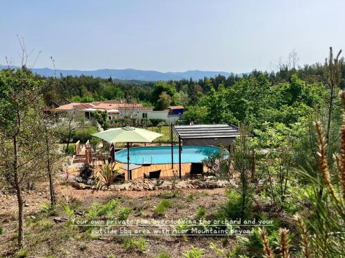 a house with a swimming pool in a garden at Villa Tranquilla apartment in Oliveira do Hospital