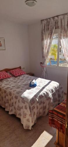 Apartament SUN Paradise Torrevieja Molino Blanco photo 11