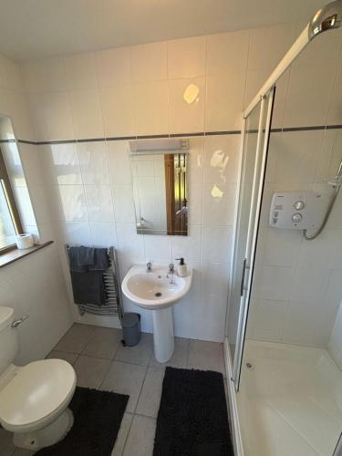 a bathroom with a sink and a toilet and a shower at Beautiful Home in Dingle in Dingle