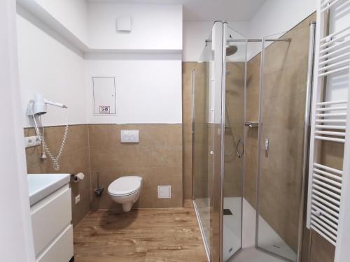 ein Bad mit einem WC und einer Glasdusche in der Unterkunft Ferienanlage "Haus hinter den Dünen" Prerow in Prerow