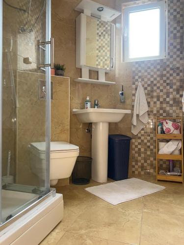 a bathroom with a toilet and a sink and a shower at Villa Tre Tri in Herceg-Novi