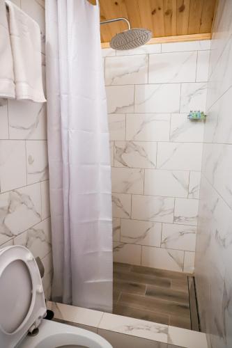 Bilik mandi di Antari Project