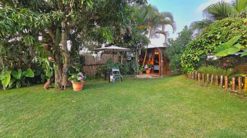 a yard with a chair and an umbrella and a house at Casa Jardin De Julia in San Juan del Obispo
