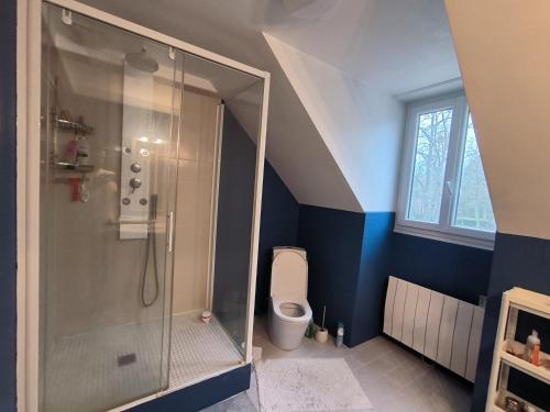 ein Bad mit einer Dusche und einem WC in der Unterkunft Etage complet in Gouvieux