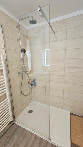 une douche avec une porte vitrée dans une salle de bain dans l'établissement 2 Pieces entièrement rénovés proche du lac, à Veyrier-du-Lac