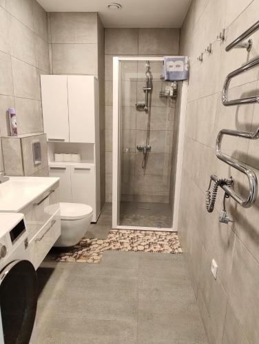 a bathroom with a shower and a toilet and a sink at Vytenio22- 2 bedrooms in Prienai