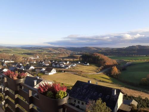 a view from the balcony of a house with potted plants at Ferienwohnungen Sternenhimmel WHG 1 in Medebach