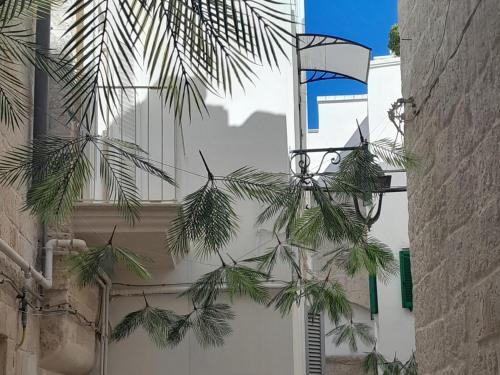 une branche d'arbres devant un bâtiment blanc dans l'établissement Il Nido al Castello, à Monopoli