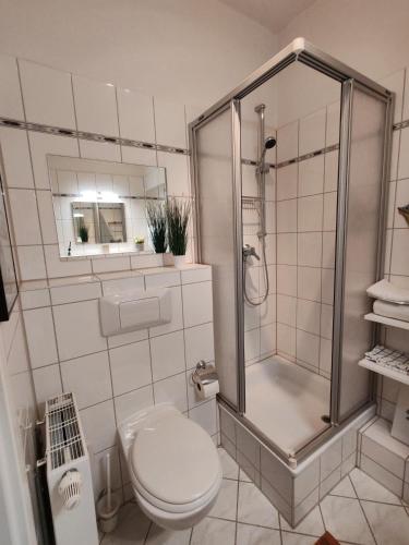 a bathroom with a shower and a toilet at Have a nice home in Leipzig