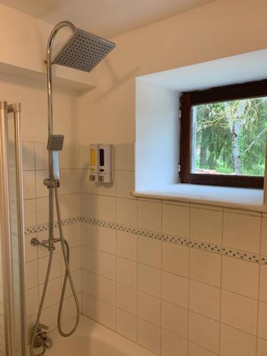 La salle de bains est pourvue d'une douche et d'une fenêtre. dans l'établissement Maison proche lac de Madine, à Buxières-sous-les-Côtes