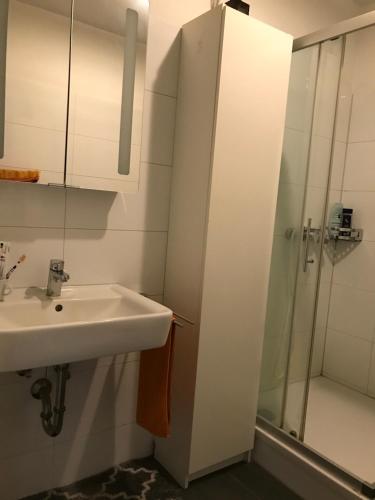 W łazience znajduje się umywalka i prysznic. w obiekcie FanHostel European Championship 24 Cologne City Center w Kolonii