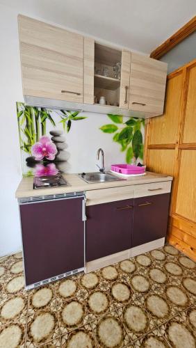 a kitchen with a sink and a counter top at Apartmaji in Vinogradništvo Klobas in Sečovlje