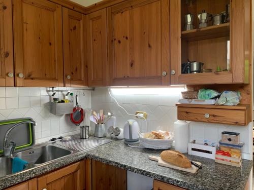 Camporgiano的住宿－Birillina al Poggio，厨房配有木制橱柜和台面