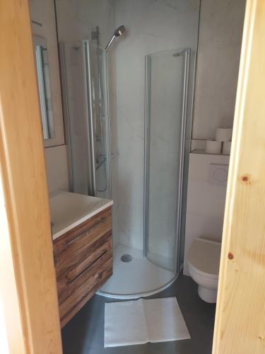 ein Bad mit einer Dusche und einem WC in der Unterkunft Greimblick in Sankt Peter am Kammersberg