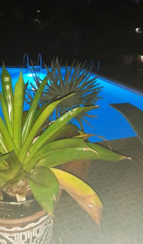 Piscina en o cerca de Fredic'lodge