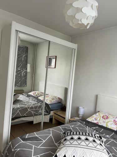 聖普列斯特的住宿－Appartement de 80m2 aux portes de Lyon avec ascenseur, balcon, parking，一间卧室配有两张床和镜子