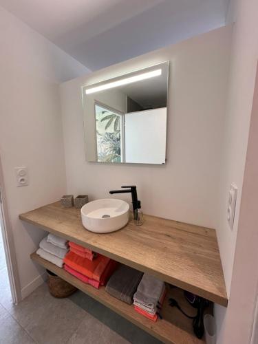 une salle de bain avec un lavabo et un miroir dans l'établissement Appartement T2 Casa Di Simone Pietrosella Corse du Sud, à Pietrosella