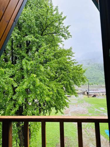 a view of a tree from a porch at Phaliani's Heaven in Mestia