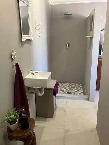 a bathroom with a sink and a shower at Stellies Accommodation - Room 2 in Keetmanshoop