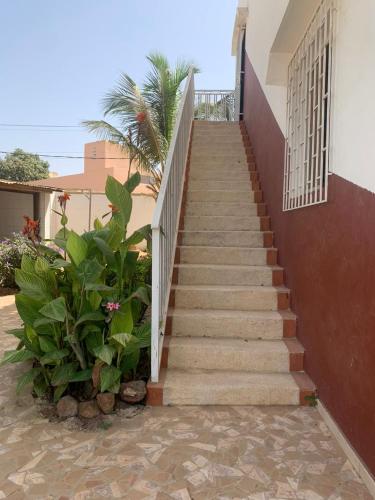 a staircase leading up to a building with plants at Villa duchesse in Sali Nianiaral