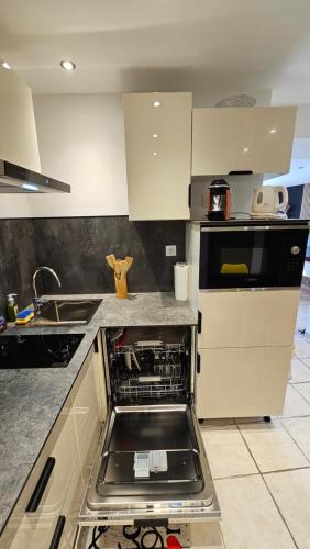 - une cuisine avec un four ouvert au milieu dans l'établissement 2 Pieces entièrement rénovés proche du lac, à Veyrier-du-Lac