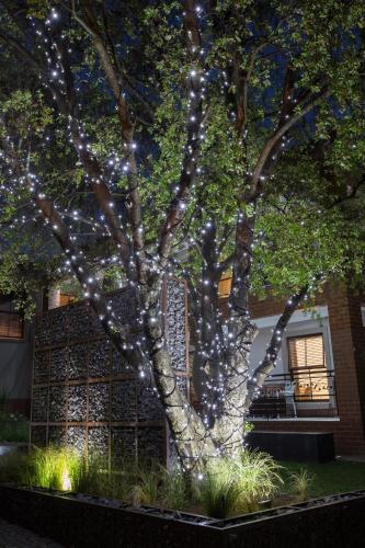 Zahrada ubytování Menlyn Boutique Hotel