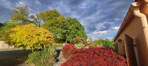 Aed väljaspool majutusasutust Le Cocon de Mina, 15 min du Puy du Fou