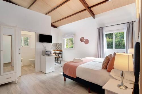 1 Schlafzimmer mit einem großen Bett und einer Küche in der Unterkunft Comfort apartment Casa Lomo El Aire Acevino with outdoor pool in Tegueste