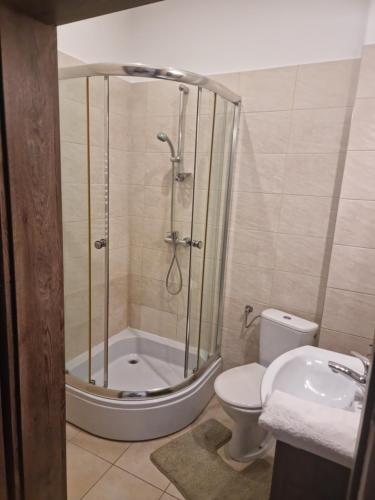 a bathroom with a shower and a toilet and a sink at Pałac Ogartowo in Połczyn-Zdrój