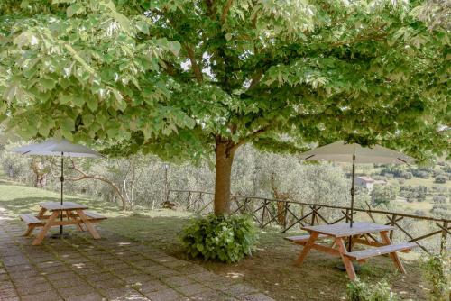 two picnic tables and umbrellas under a tree at Agriturismo Il Mulino delle canutole in Magione