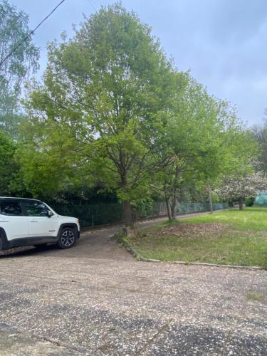 Κήπος έξω από το Au seuil de la Forêt 65m2 Nature & Spa