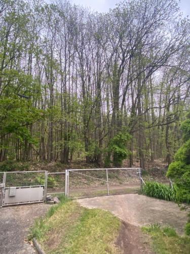 Κήπος έξω από το Au seuil de la Forêt 65m2 Nature & Spa