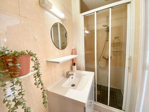 une salle de bain avec un lavabo, une douche et un miroir dans l'établissement Charmant studio proche du théâtre, à Tours