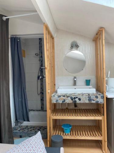 ein Bad mit einem Waschbecken und einer Dusche in der Unterkunft Grande chambre 25m - CLIM in Castelnau-le-Lez