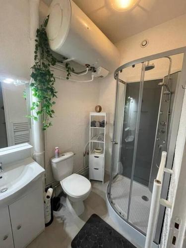 une salle de bain avec une douche, des toilettes et un lavabo dans l'établissement La minoterie - Bailly Loc, à Bourges