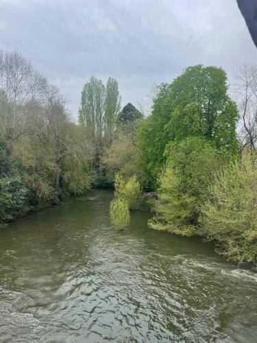 vista su un fiume con alberi e cespugli di La minoterie - Bailly Loc a Bourges